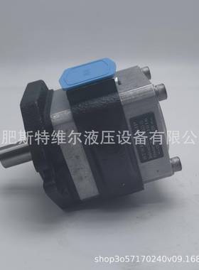 ECKERLE艾乐勒EIPC系列高压齿轮泵，艾可勒高压齿轮泵