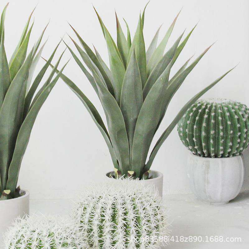 仿真龙舌兰剑兰剑带雨林沙漠绿植物装TOE饰造麻景热落摆件橱地窗