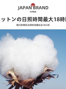 小馋猫可爱卡单通纯棉ZJF26169床三件套床上用品全棉床笠学生宿舍