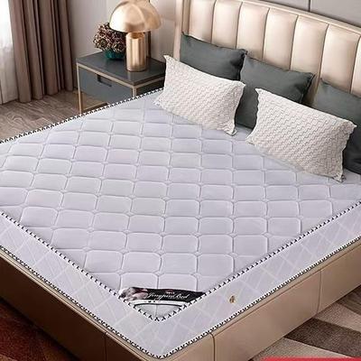 弹簧床硬垫子双人床GDP垫家卧乳胶垫垫椰棕酒店床垫室席梦思用床