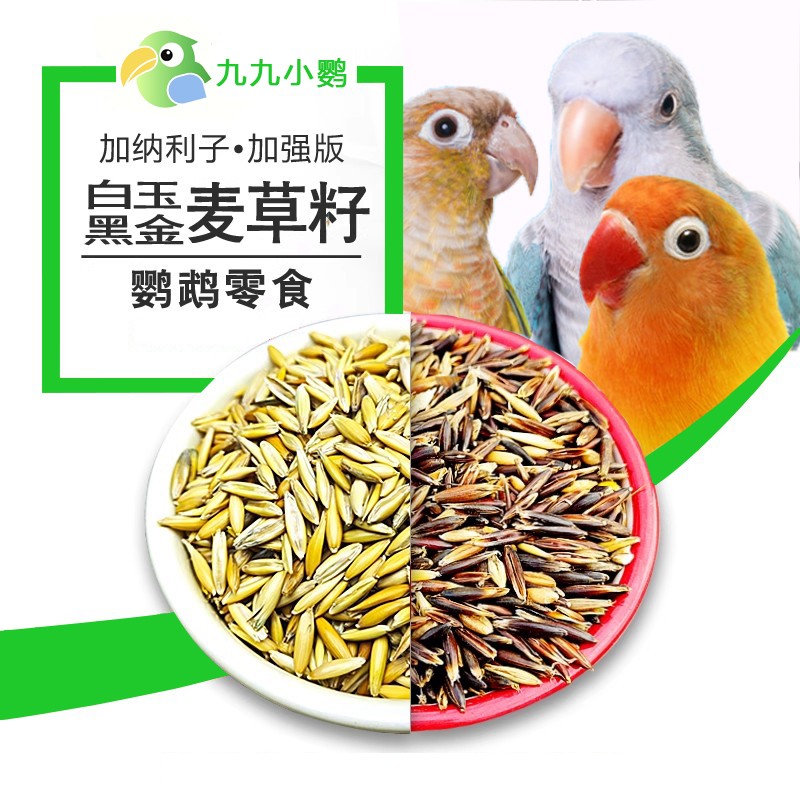 九九小鹦鹉双色白玉黑金麦草籽带壳麦草子虎皮玄凤牡丹鹦鹉零食籽