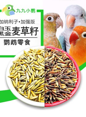 九九小鹦鹉双色白玉黑金麦草籽带壳麦草子虎皮玄凤牡丹鹦鹉零食籽