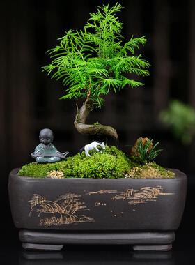 砂盆花器客厅室内盆景盆精品长方形老庄多肉RNQ假山园紫艺绿花植