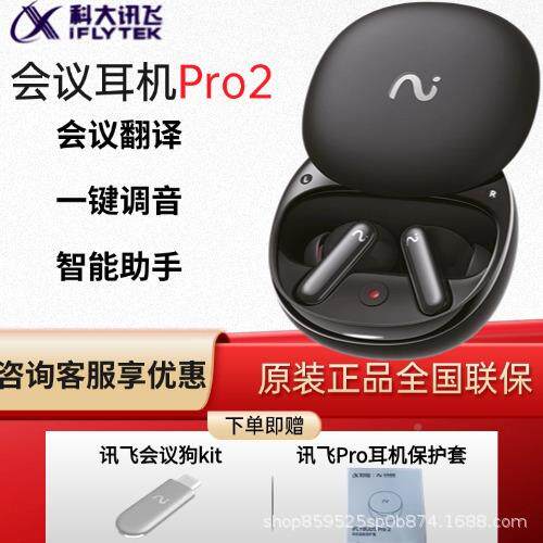 科大讯未来智耳能NANO+Pro飞2会译议录音机蓝牙会议智能翻转写文