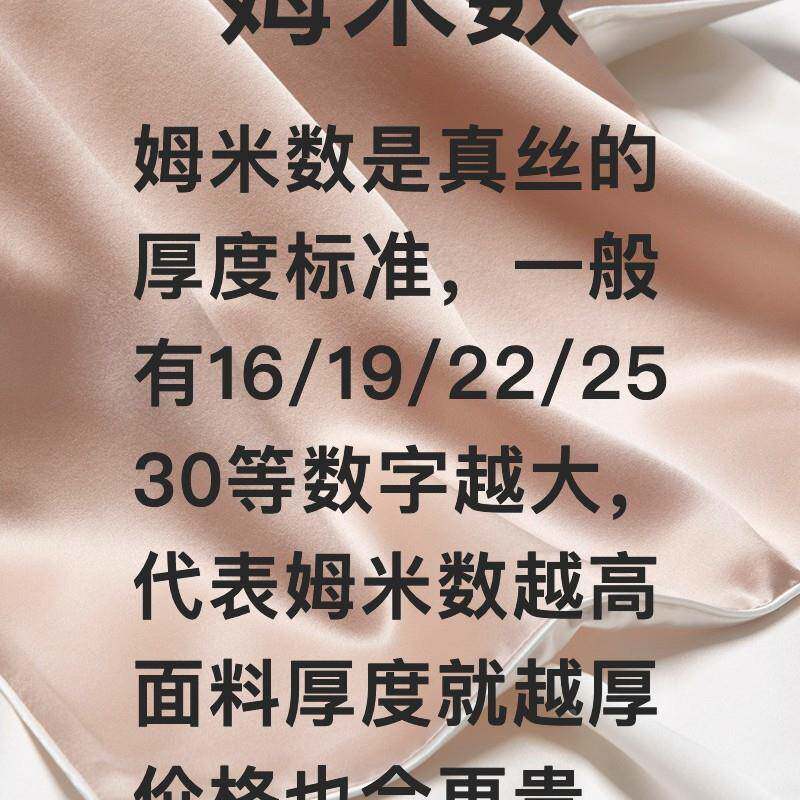 30姆米丝枕套桑蚕丝丝绸夏枕头套信封真式季枕巾乳面胶枕套ABAL10