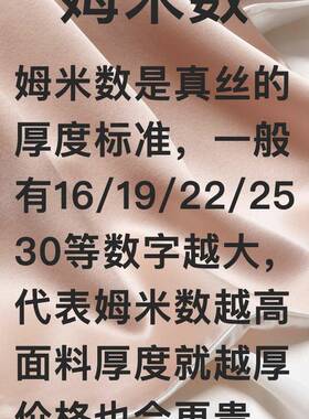 30姆米丝枕套桑蚕丝丝绸夏枕头套信封真式季枕巾乳面胶枕套ABAL10