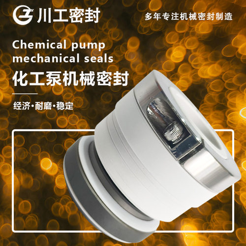 补偿密封件 KTF32-20-160\KT100-65-315 机械密封用碳化硅环