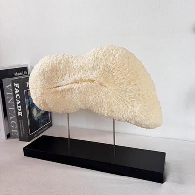 珊瑚件新中式海印轻奢装间饰摆件样摆KRJ板象酒店售楼处玄关家居