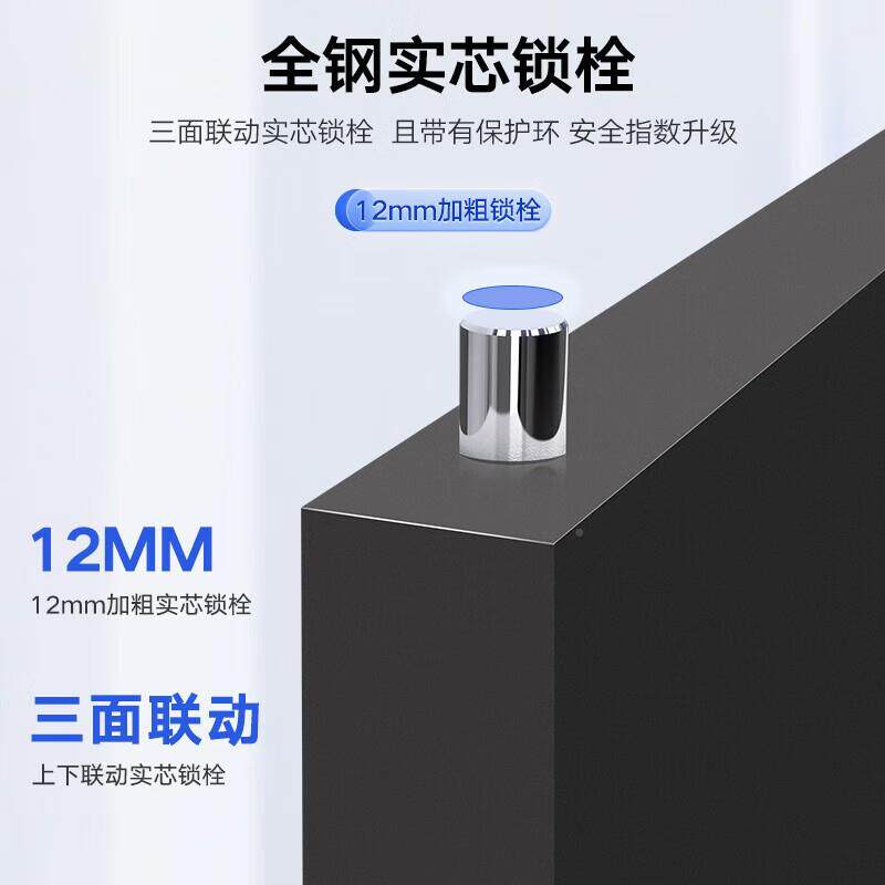 钢制密柜子指保纹码锁文件资料柜财务凭证档电AQF案柜密办公室保