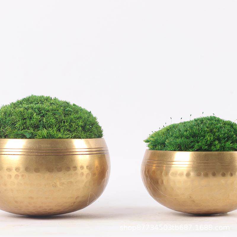 现代339中式永生苔茶藓青苔绿植盆景茶几楼花架室售处洽谈桌面新