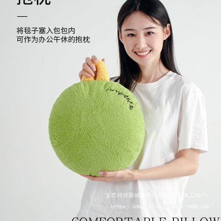 抱被两用子抱枕毯子二合公一办室午睡车载枕抱F9776JT9枕车用夏凉,居家布艺,抱枕被,淘宝优惠券,粉丝福利购,淘宝优惠卷