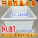 直筋销大箱号加厚牛筋塑料水箱长915方形转水产养周殖箱养鱼牛箱