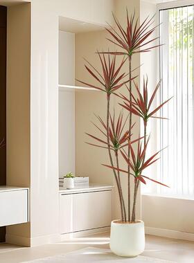 装轻奢客内厅仿真绿植树龙E100血龙舌兰假树植物盆栽室饰落地盆景