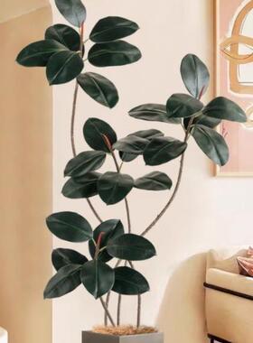 仿真黑金橡皮刚树绿厅植高端轻奢室饰内假树客大型落地XP-575植物