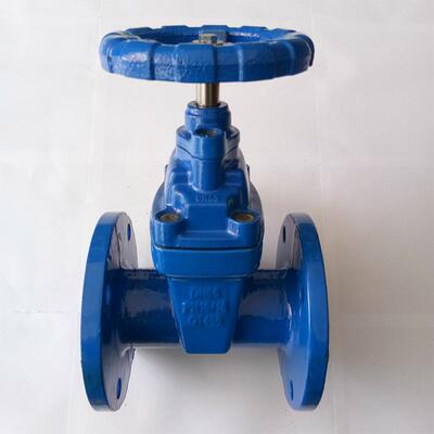 Z45X-16DQ暗阀杆软橡密601封法兰闸泉州质启软密封闸阀法兰胶阀N1