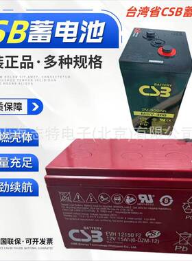 CSB蓄电池TPL121000T/12V100AH狭长形UPS电信机房 希世比蓄电池