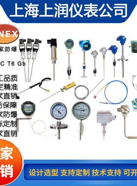 TD2233金属顶部显示温度变送器传感器上海上润仪表