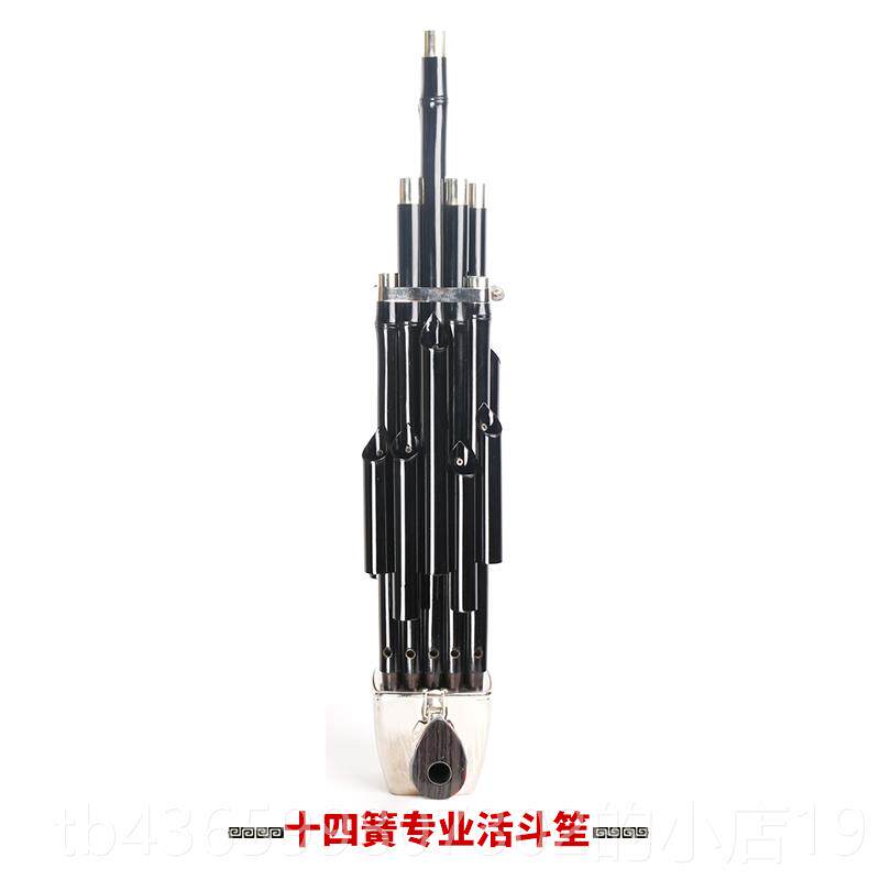 高档新艺1簧14簧扩音笙乐器大全圆笙方7修笙具竽乐笙器工笙包初学