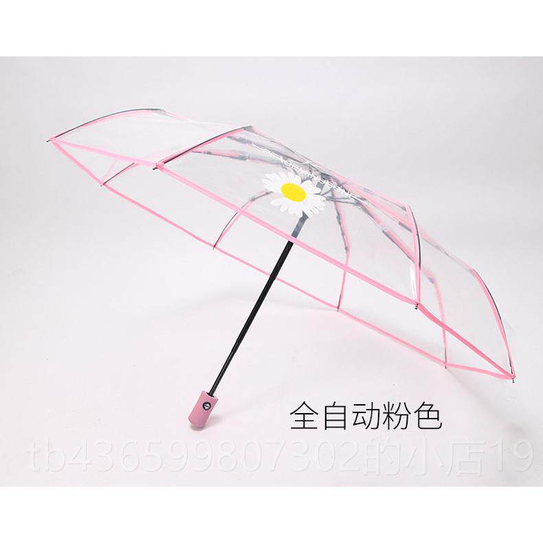 正品小雏菊 叠全自动网红透明雨伞折日本小清新森系ins美女少神学