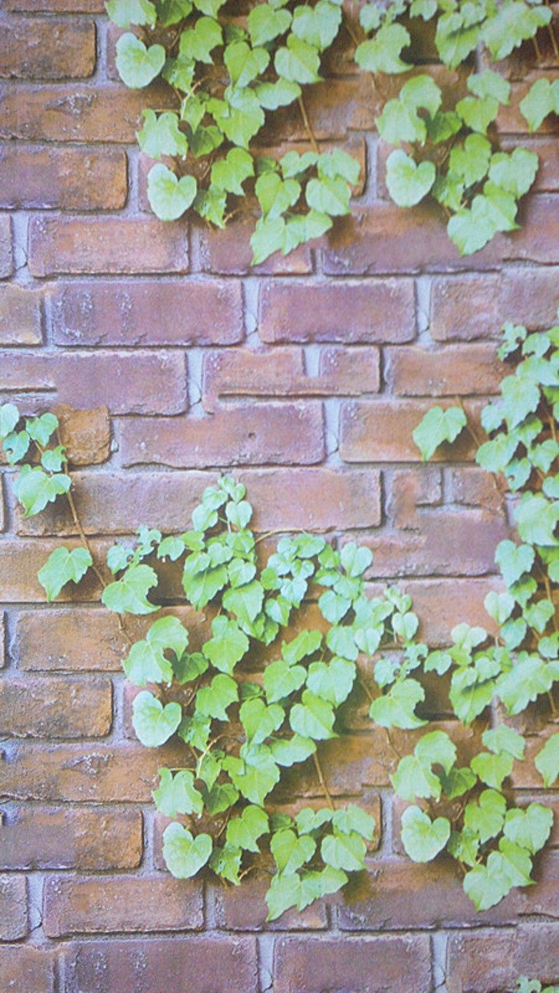 特价砖块墙纸pvc自粘墙贴宿舍卧室客厅3d爬山虎砖块背景墙墙贴纸,家居饰品,软装墙贴,淘宝优惠券,粉丝福利购,淘宝优惠卷