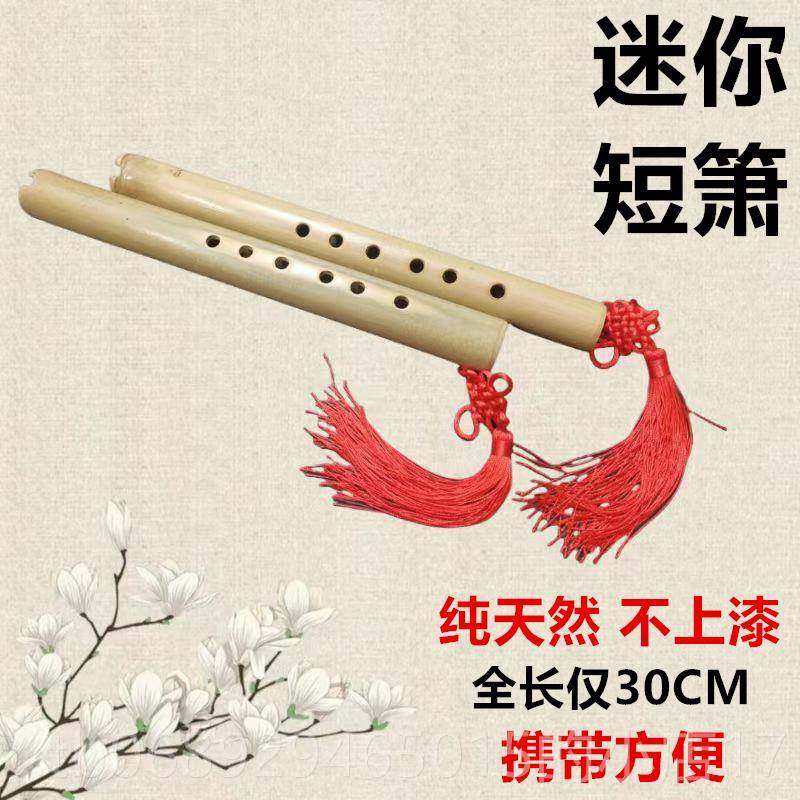 正品洞箫便携桂笛竹高级短萧六孔G调调迷你小子初学古风器乐竖吹