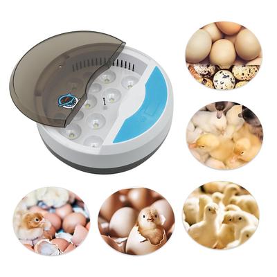 孵蛋器小鸡孵化器小型家用智能孵化机鹦鹉孵化箱全自动孵化器