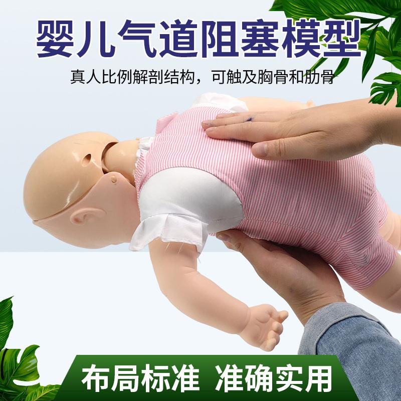 婴儿梗塞模型 海姆立克急救训练 人体模型幼儿气管异物梗阻急救法