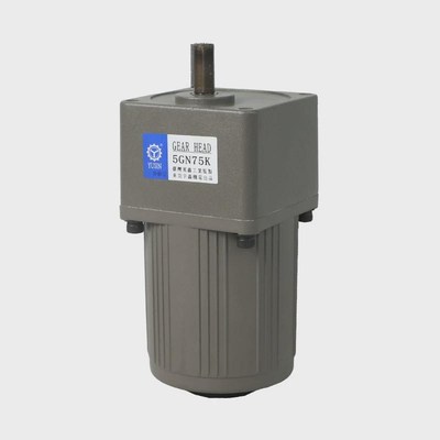 厂家变速40w380v定速马达调速供应电机单相异步小型齿轮减速电机