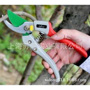 德国德狮宝PS-8G修枝剪园林工具果树剪子修剪树花枝园艺粗枝剪