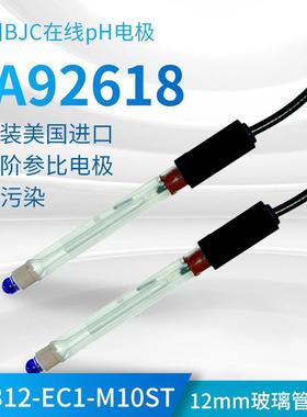 CA92618 BroadleyJames在线pH电极