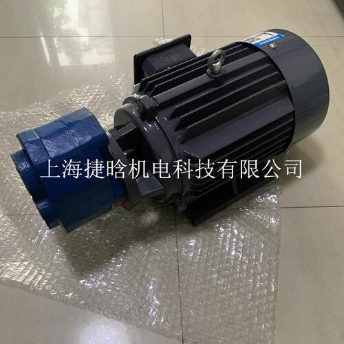 油泵电机组 TYPE YQB100L2-4/CB-B63 齿轮泵用内插式三相电动机
