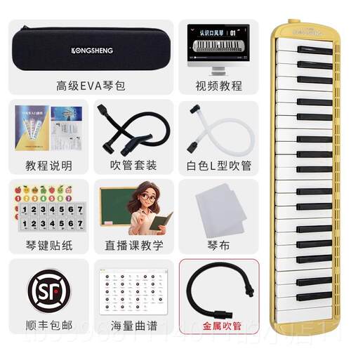 高档孔声风琴成生人37口键风琴口专业演奏级风琴口吹琴小学生初中