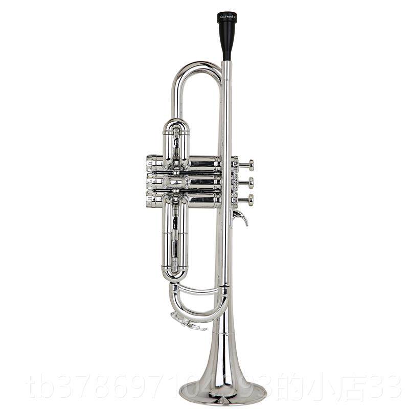 新款酷风oolwnd塑料小号乐学器铜管乐器降B调初考级专业演奏包ci