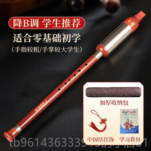 新款奇专业巴乌乐器美小学生C调降B调童专用初学演奏吹级树儿脂竖