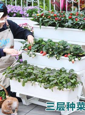 盆DDL阳台种菜专用用室内花架家庭蔬菜种植箱草莓盆花盆盆家多层