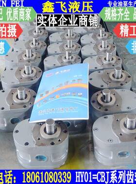 HY051-05X10X3X8X15X12X2XUDI25X2X5X50X70X100低压磨3床齿轮泵油