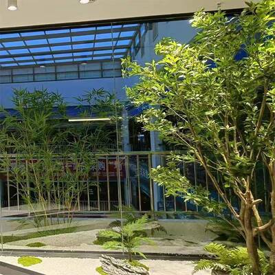 马醉木绿植装造景假植物窗饰室地内大型落景观树橱VAG装饰树