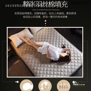 人床垫家用垫睡垫1.8/11.5/.2宿舍单人软垫加厚租房子双ZEN垫被褥