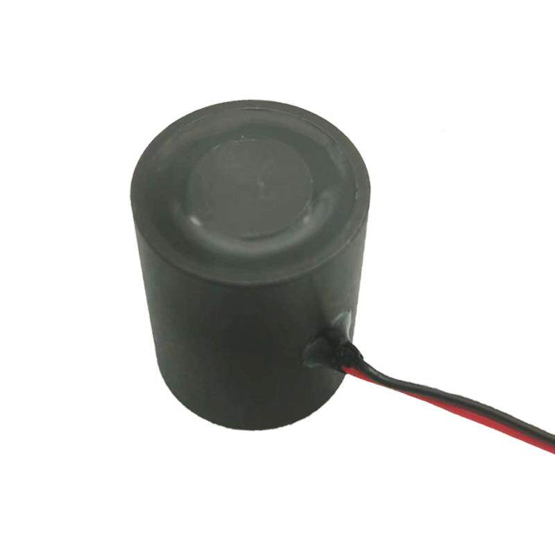 兰小家电电器达磁门锁电磁盘铁迷你吸电磁铁圆形通电消磁DJZ式电