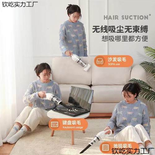 德国进吸工艺无线吸尘器家用口大力持式小型手沙发宠1物猫毛吸尘