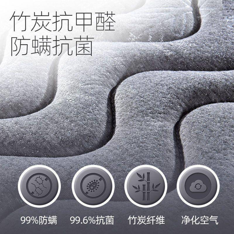 棕垫硬棕榈床垫椰棕垫1.5家用睡垫棕折叠1人.2米宽18.双381工厂