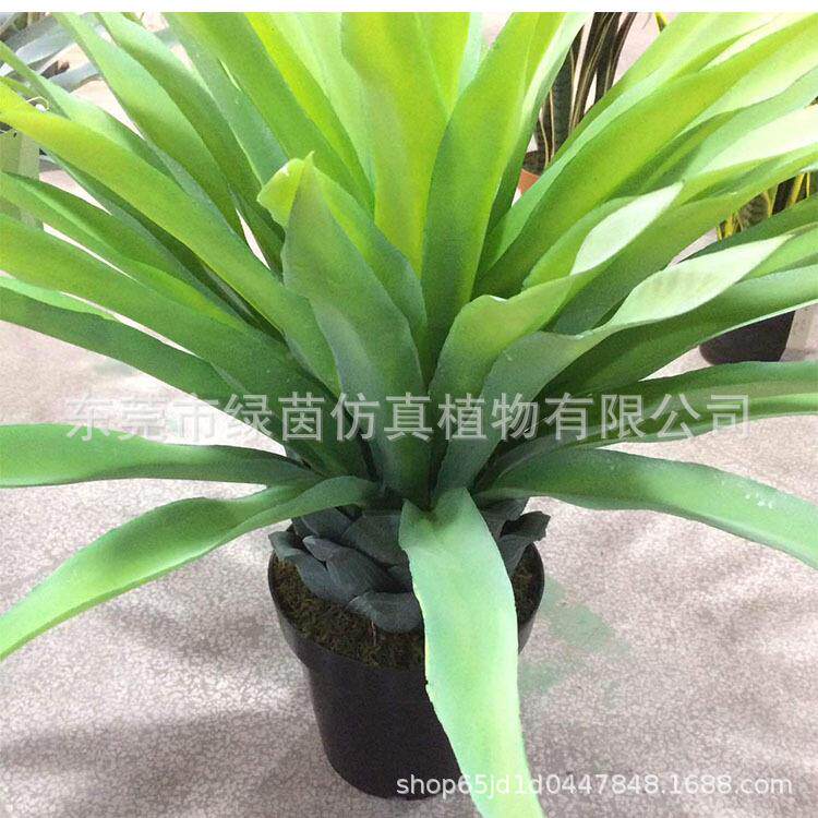 仿真绿植盆景剑兰60/65LV149/70CM装饰植菖物唐蒲景艺场布置花剑