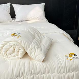 李奇人大豆纤维芯被单双345822大豆春秋被加厚冬被被子二合一子母