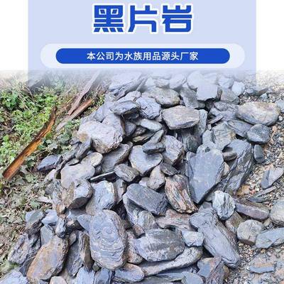 原缸生流石黑色页岩片石鱼缸石头造景石溪主石黑色页片溪流乌晒台