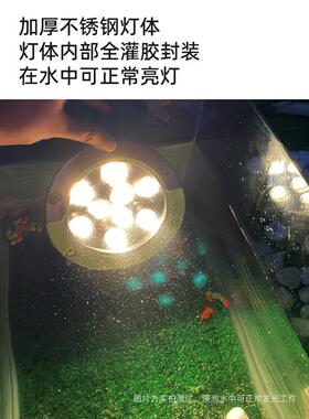 6T山RIAC可控硅不锈钢阳鱼池水下灯太能LESL8355D水底灯IP8彩色变