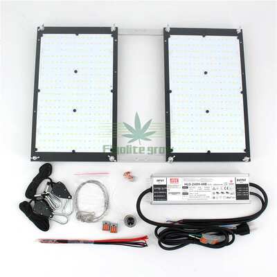 250W 双散热器 LM301H Quantum LED Board 植物灯量子板 配明纬