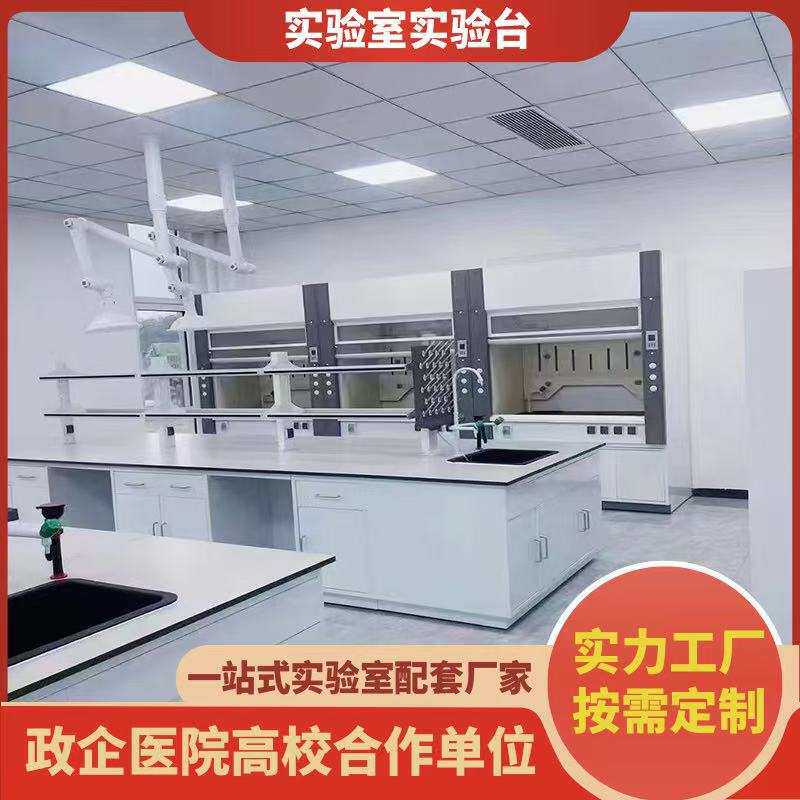 实验台厂家实验室通风柜试验台全钢实验台钢木实验桌实验室工作台