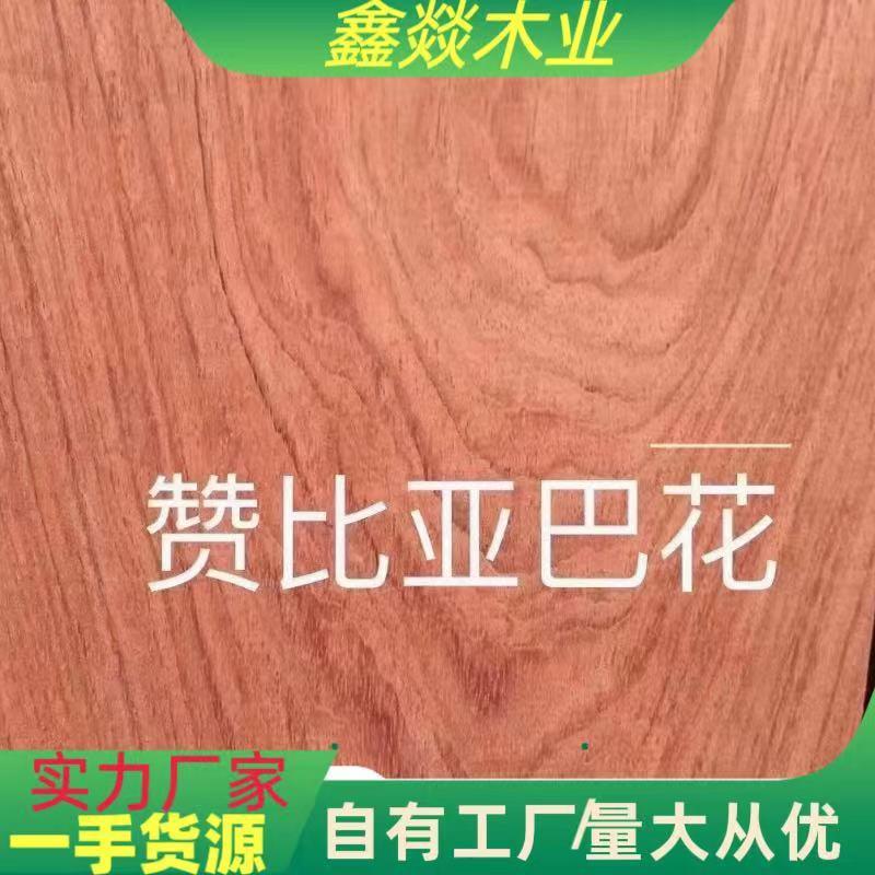 刚果小巴花 原木板材 大径赞比亚花梨 巴西花梨原木板材 古夷苏木