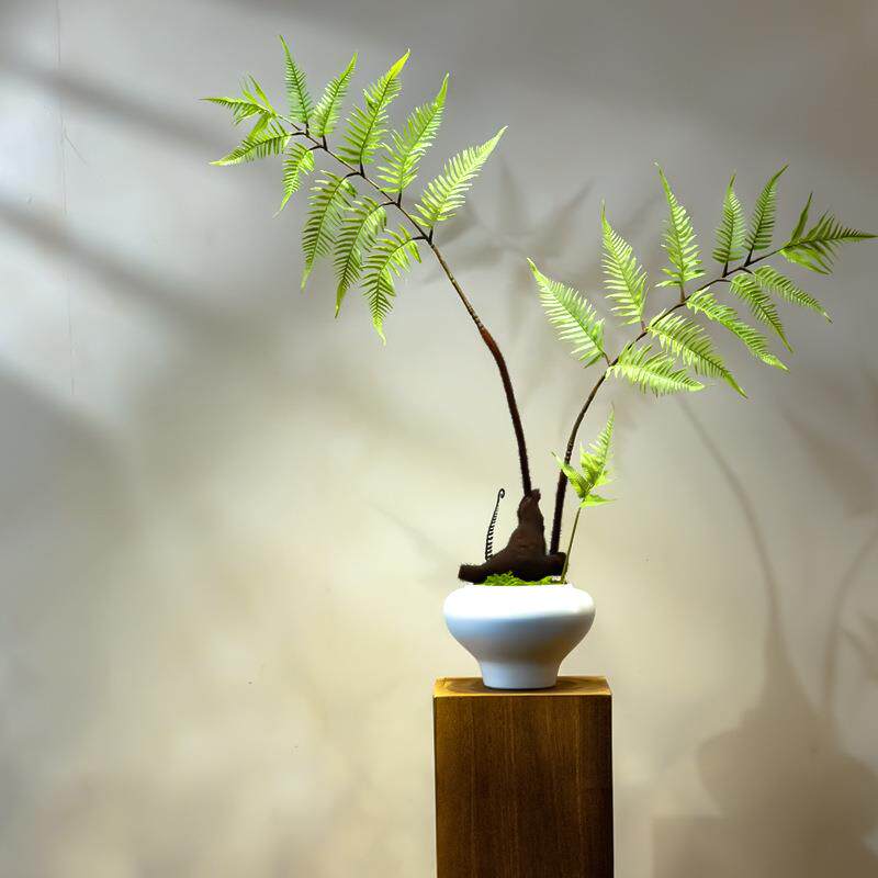 红磷蕨仿真绿植假花高级古风新中式茶室装饰禅意玄关摆件小型盆景