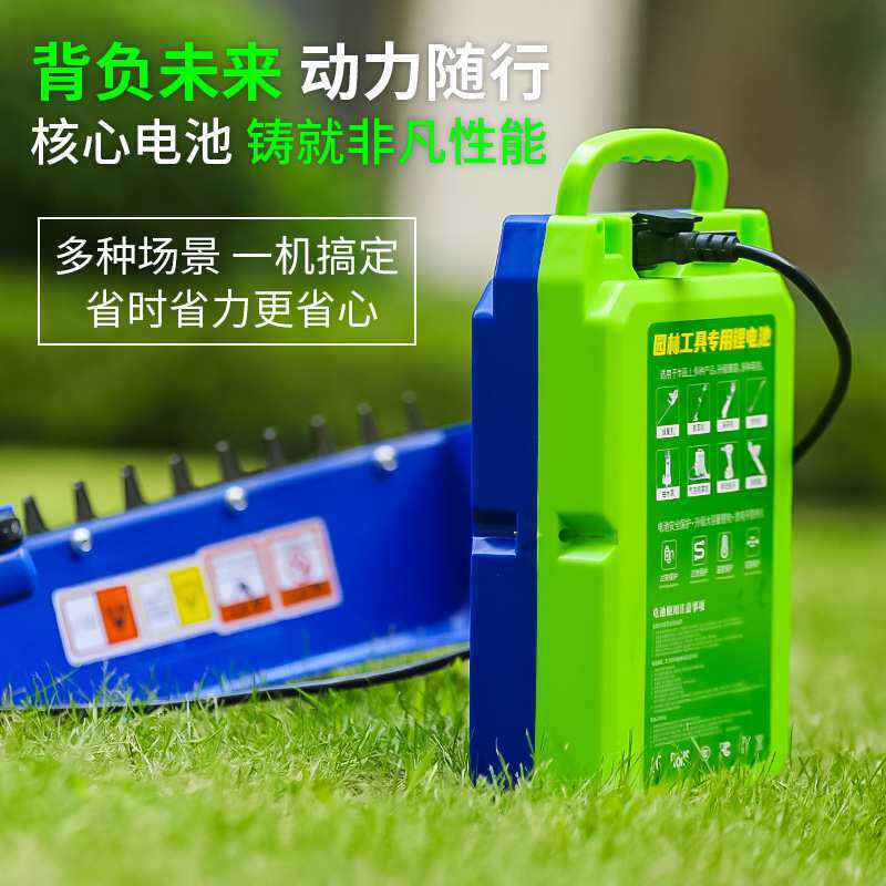 24V30AH大容量锂电池电动抽水泵采茶机绿篱修剪机48V专用锂电池